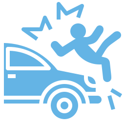 Motor Vehicle