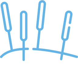 Acupuncture